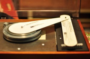 DSC_0349 (Custom).JPG