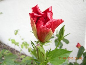 DSCN4617.JPG
