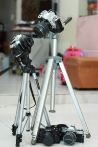 weapon-1s.jpg
