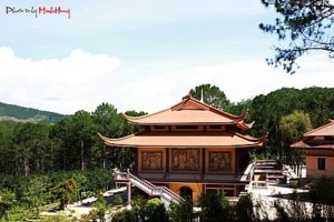 IMG_6963.jpg