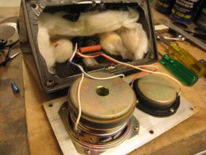 Speaker004.jpg