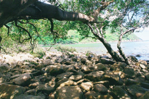 condao-resort-08.jpg