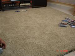 Picture 019 (WinCE).jpg