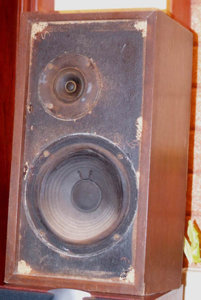 P4212039a.jpg
