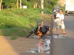 Canh en tu thieu.jpg