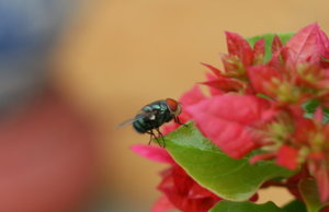 IMG_8574.JPG