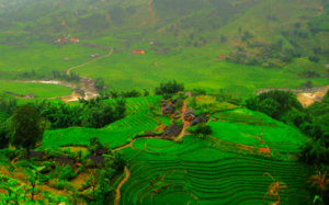 Thung-lung.jpg