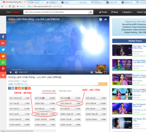 youtube_audio.png