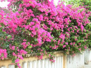 image002.jpg