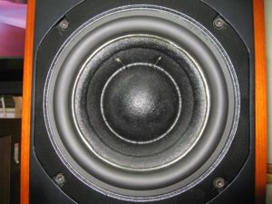 IMG_0323.jpg