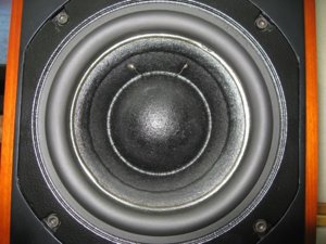 IMG_0324.jpg