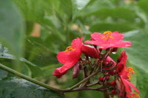 IMG_9335.JPG