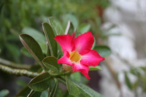 IMG_2856edit.jpg