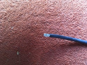 72116E7D-F037-4926-A4DB-06729496D1DB.jpeg