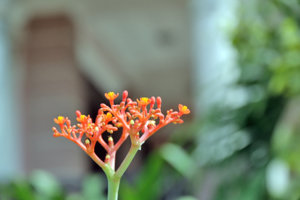 IMG_0977edit.jpg