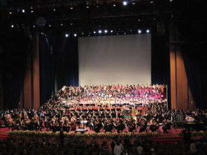 IMG_2958a.jpg