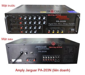 PA203.jpg