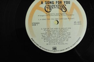 SA2.JPG