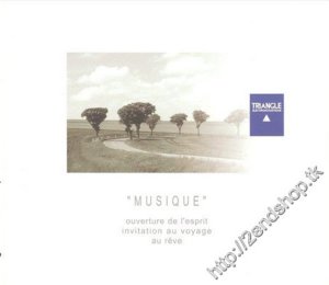 Triangle_-_Musique_(M29).jpg