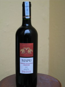 Mapu- Chile.jpg