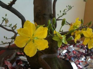 IMG_1799.jpg