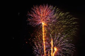 resized_DSC_0106.JPG