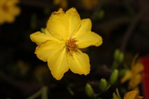 IMG_3487.JPG