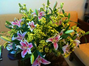IMG_1810.jpg