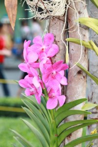 IMG_6502.jpg