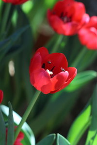 IMG_1713.JPG