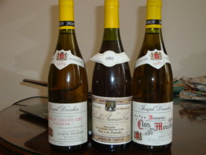 DSC03078.JPG