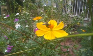 IMG_0135.jpg