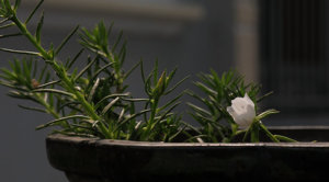 _NIK8643(-don-nang-).jpg