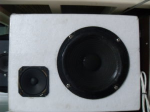 SDC12886.jpg