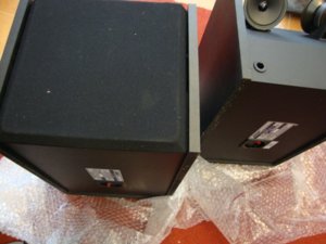 Bose-301.den mat sau.JPG