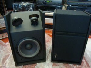 Bose-301 III.den mat.JPG