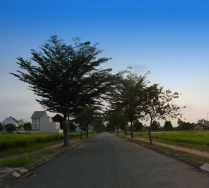 R0014973.jpg