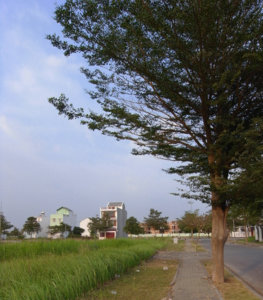 R0014974.jpg