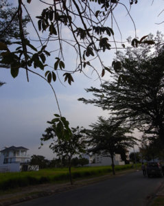 R0014980.jpg
