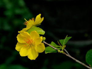 P3100977_rsz_web.jpg