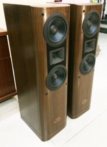 Pioneer S-77 TwinSD (1).jpg