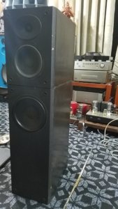 20181102_182917.jpg