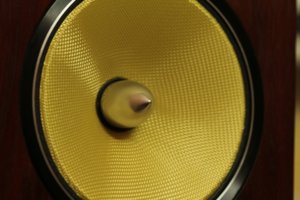 IMG_1302(Speaker).jpg