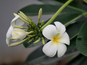O3241186_rsz_web.jpg