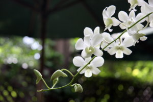 IMG_8160.JPG