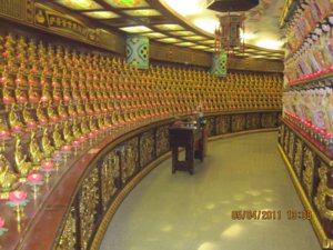 IMG_2599.JPG