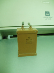 P1010020.jpg