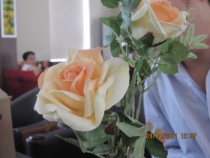 IMG_2699.JPG