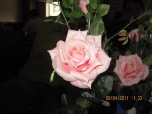 IMG_2677.JPG