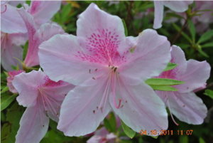 resize083.JPG